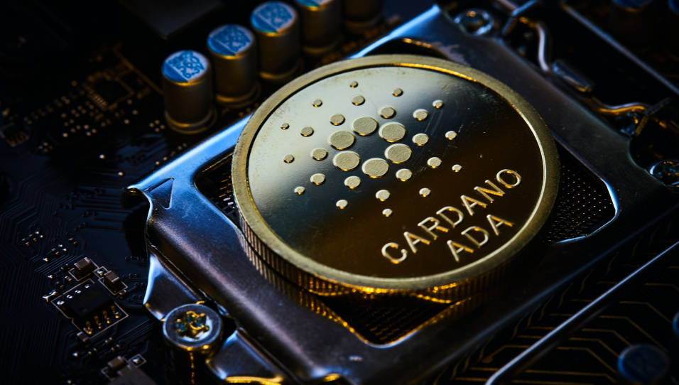 Top 6 New Cardano Projects 2022